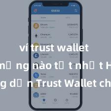 ví trust wallet hỗ trợ mạng nào tốt nhất Hướng dẫn Trust Wallet cho người mới bắt đầu tại Việt Nam